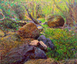 djungle 90x105
